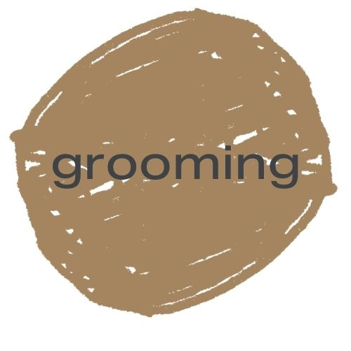 Sebesta Apothecary Zero Waste Shaving Wet Shaving