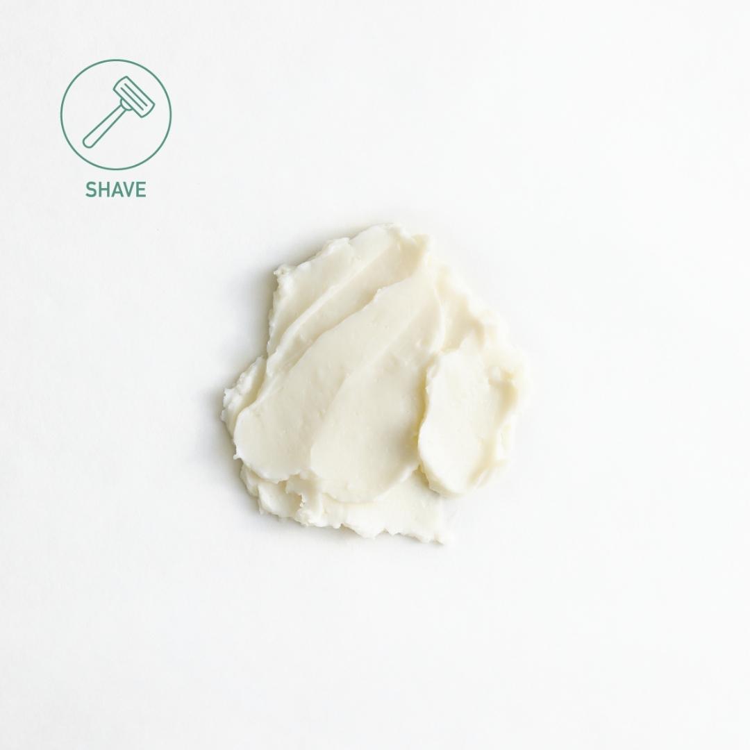 Sebesta Apothecary Shave Cream one white SHAVE Logo