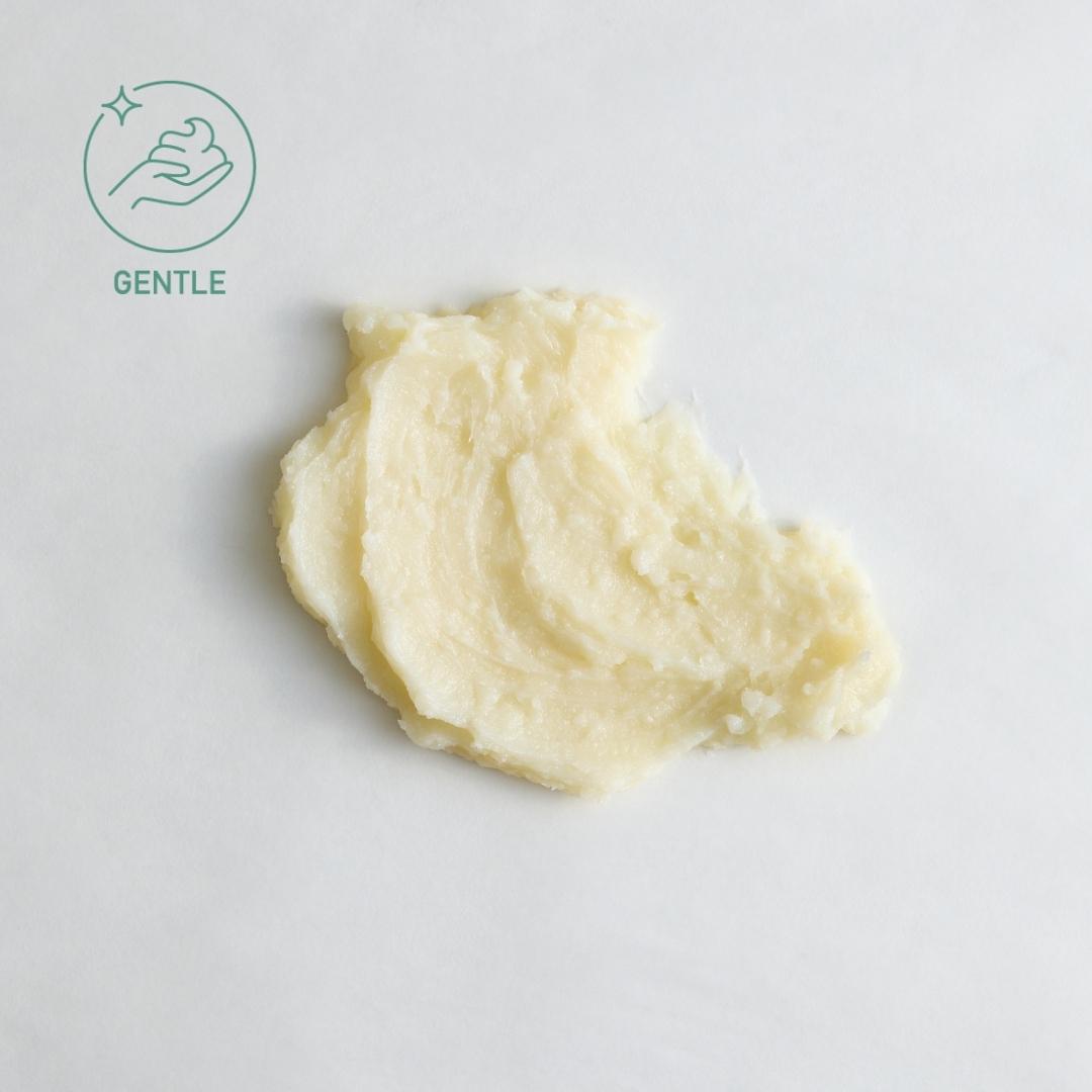 Sebesta Apothecary Shea Lotion on White GENTLE LOGO