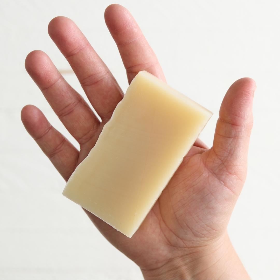 Sebesta Apothecary Vegan Shampoo Bar in Hand
