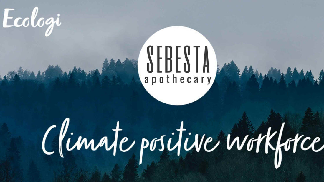 Sebesta Apothecary Climate Positive Workforce