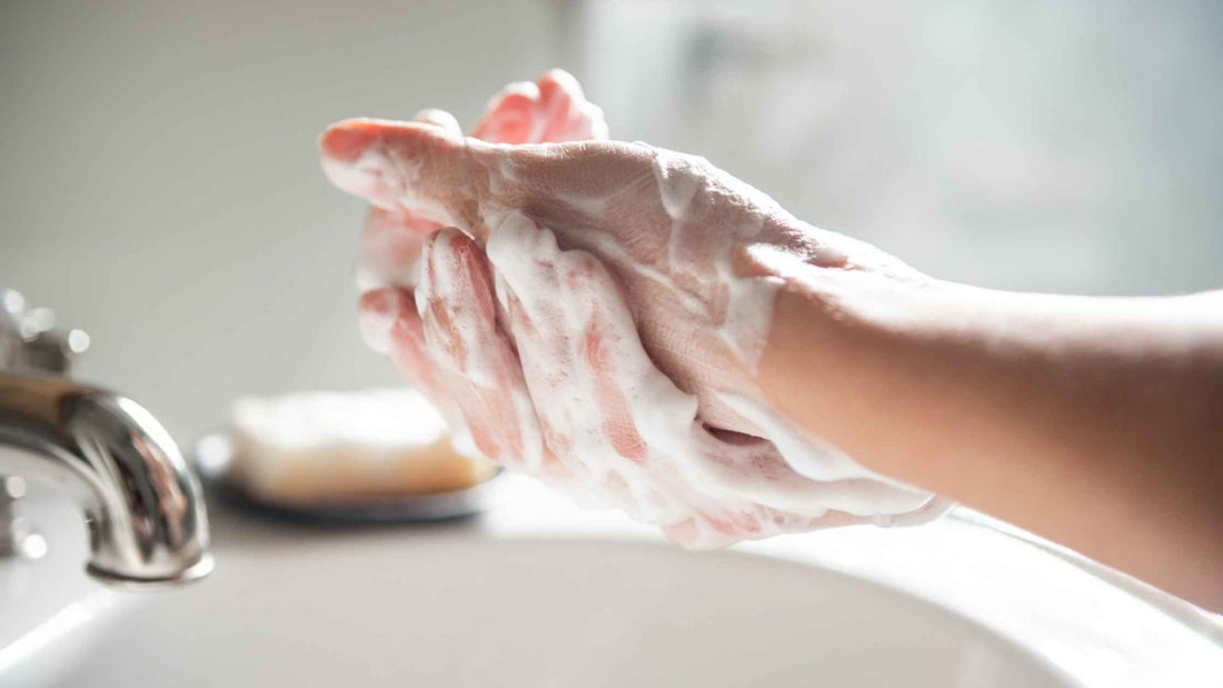 Sebesta Apothecary Zero Waste Hand Washing All Natural